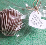Hot Chocolate bombs