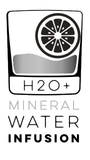 H2O Mineral Water botanicals infusion box